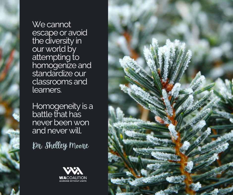 Dr. Shelley Moore quote on image of wintery everygreen branches